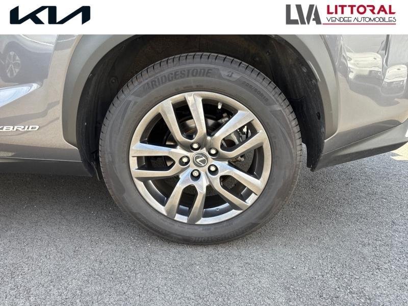 lexus - Visuel 6